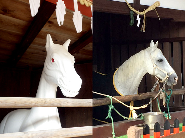 今年の初詣 ～神の住む島☆宮島編～